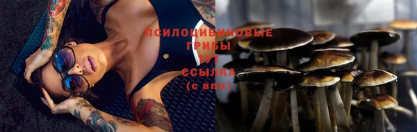 винт Михайловск