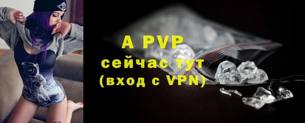 ПСИЛОЦИБИНОВЫЕ ГРИБЫ Михайловка