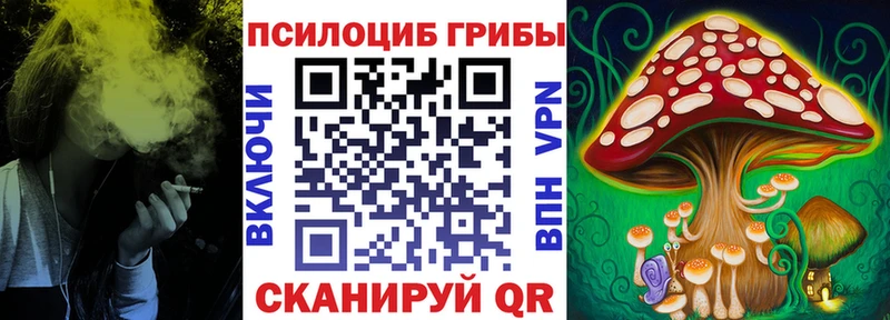 Псилоцибиновые грибы Psilocybe  Нестеров 